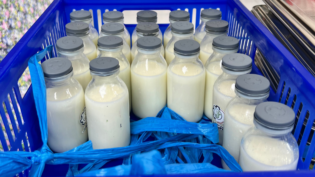 Penjelasan BGN Gayo Lues Soal Manfaat Susu Sebagai Pelengkap Gizi Anak