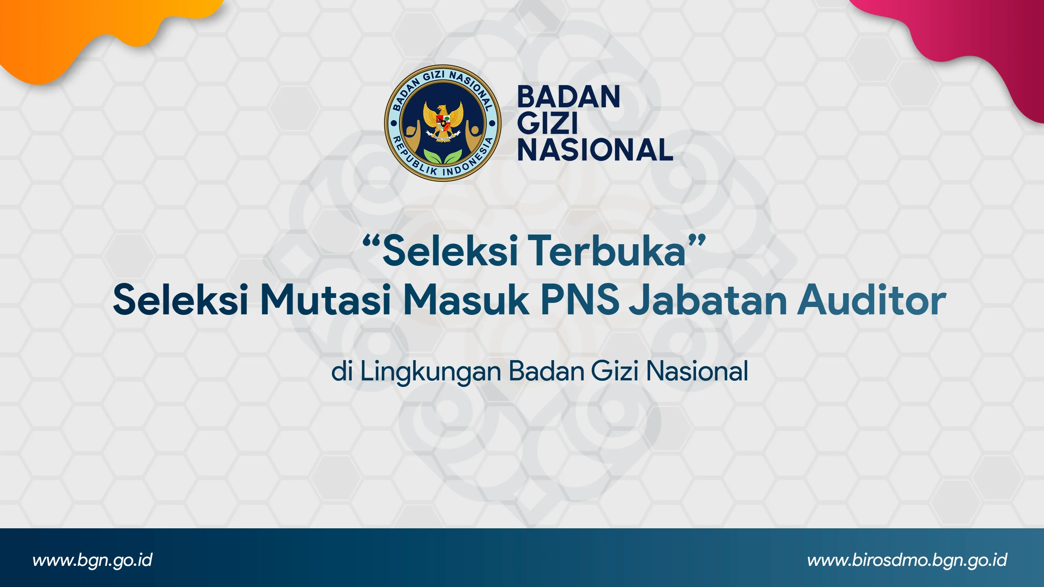 Seleksi Terbuka - Seleksi Mutasi Masuk PNS Jabatan Auditor di Lingkungan Badan Gizi Nasional Gayo Lues
